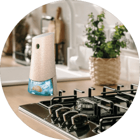 Cucina & Airwick Fresh